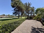 Photo - 17873 Sintonte Dr