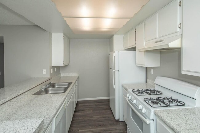 Photo - Palm Court Apartment Homes