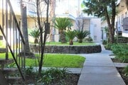 Photo - The Palms Apartments