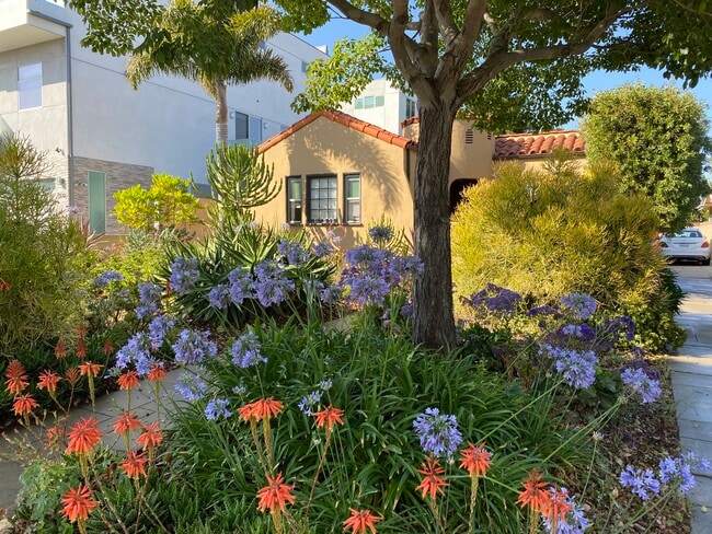 Photo - 1558 S Carmelina Ave Unit 1558