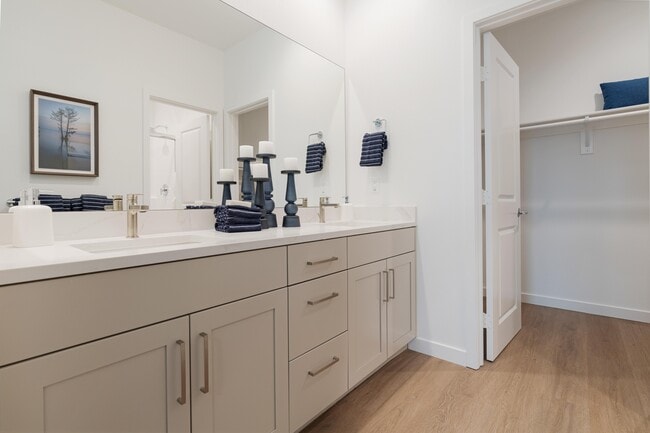 Photo - Stirling at Cota Vera