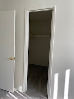 Photo - 1904 E Wilson Ave Unit 8