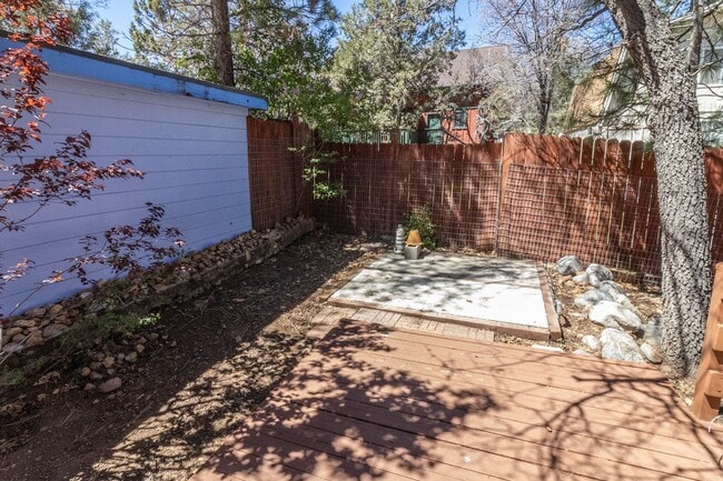 Photo - Sugarloaf Cutie