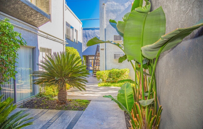Courtyard - La Fontana Apartments