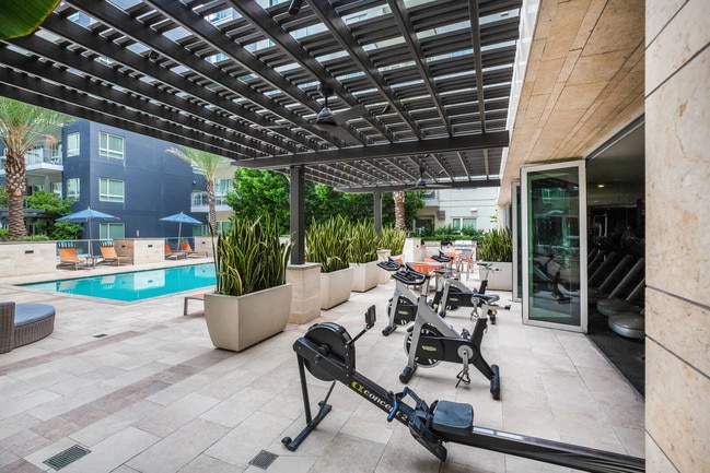 Spin bikes with a pool view - South Park by Windsor