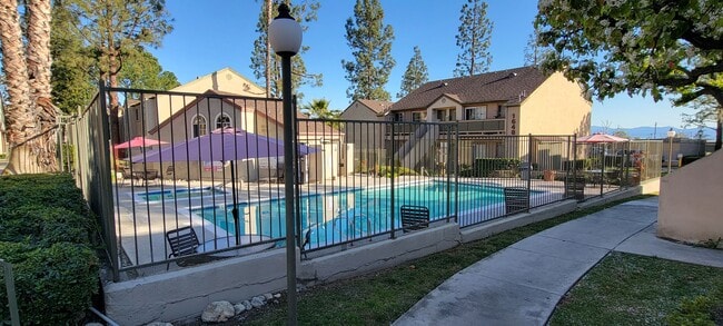 Gated swimming pool, spa, and sun deck area surrounded by lush gardens and trees at Northwood Apartments in Upland, California. - Northwood Apartments