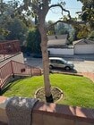 Front Yard - 6247 Oak Crest Way Unit HLP#1