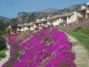 The complex - 1705 Cam De Villas