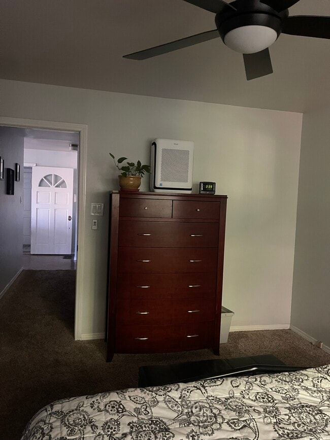 Photo - 2446 Spring Oak Dr