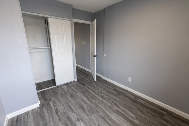 Photo - Tower Bellflower