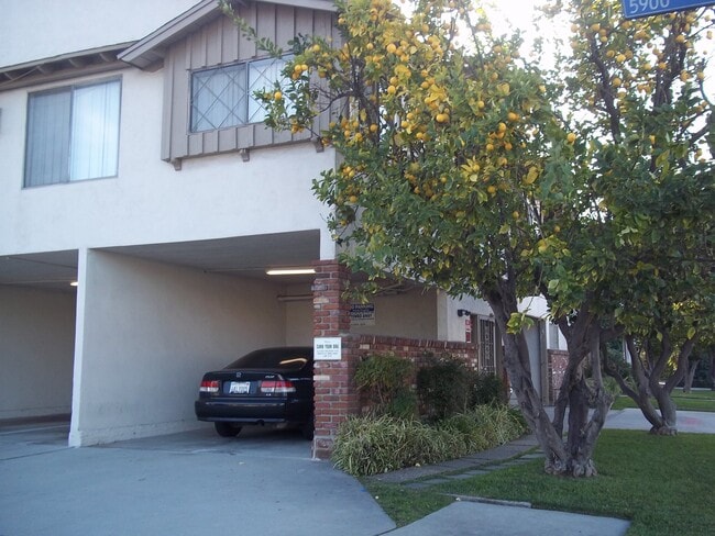 Photo - 5929 Laurel Canyon Blvd Unit 14