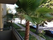 Photo - Midvale Ashton Plaza Apartments