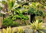 Entrance - 1439 Cabrillo Ave