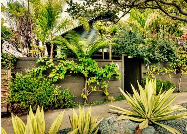 Entrance - 1439 Cabrillo Ave