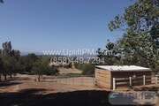 Photo - 1425 Cedar St