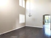 Photo - 47 Straw Flower