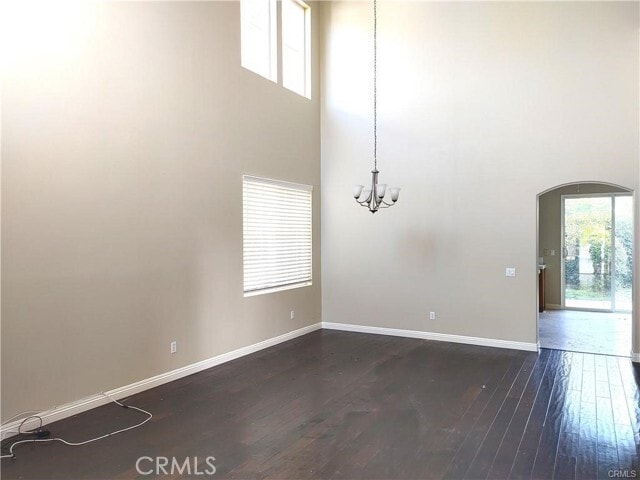 Photo - 47 Straw Flower