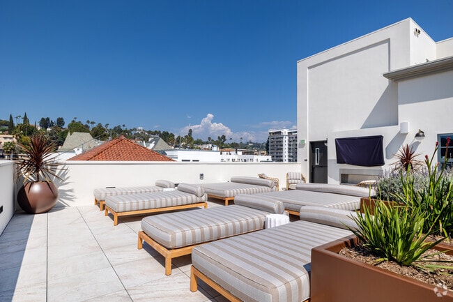 Rooftop Sun Deck - The Baxter