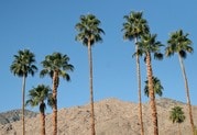 Photo - Palos Verdes Villas Apartments