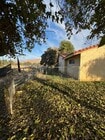 Photo - Beautiful Home in the Heart of Hemet