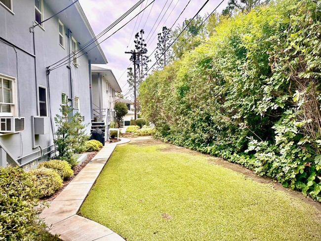 Backyard - 1729 Raymond Hill Rd Unit 3