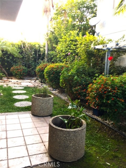 Photo - 555 W Lemon Ave