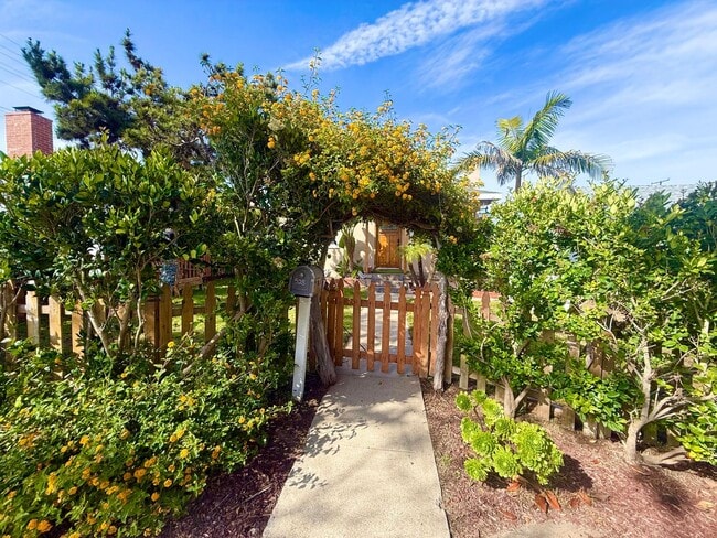 Building Photo - AWESOME 3 BEDROOM 2 BATH BEACH HOUSE