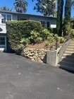 Photo - 509 E Valerio St House