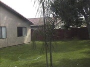 Photo - Single Family home with large back yard