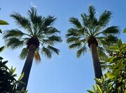 Photo - Country Club Villas