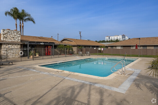 Photo - Sunrise Palms
