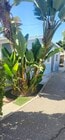 Photo - 826 Orange Grove Pl