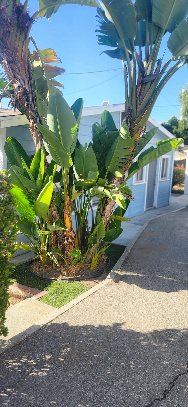 Photo - 826 Orange Grove Pl