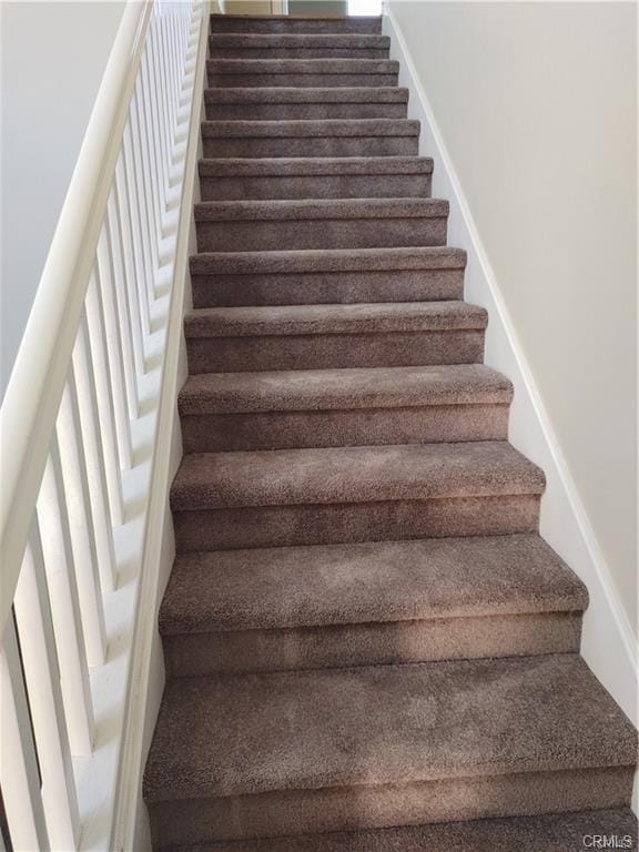 Photo - 47 Straw Flower