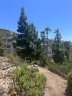 Photo - ***SCENIC SCRIPPS RANCH***2/2 CONDO W/ TAN... Unit 183