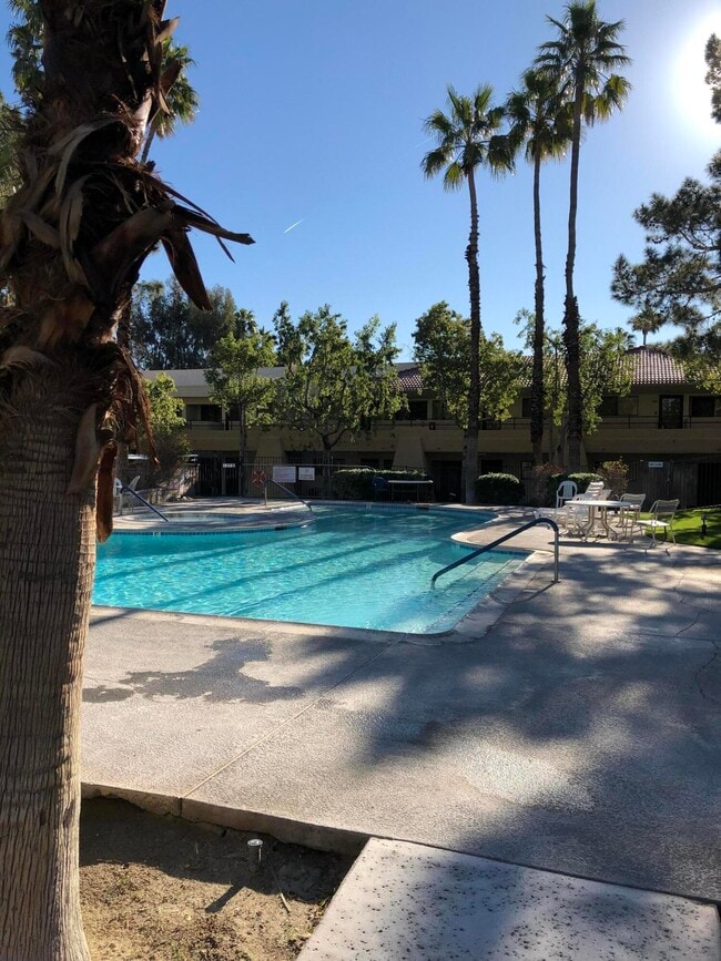 Photo - 675 Los Felices Cir W Unit 210