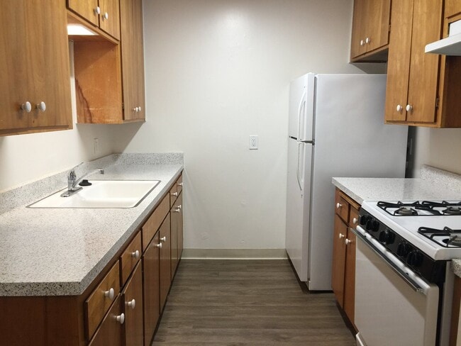 Building Photo - Large one bedroom apartment available! Unit 336-11