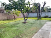 Photo - 1444 W Grand Ave