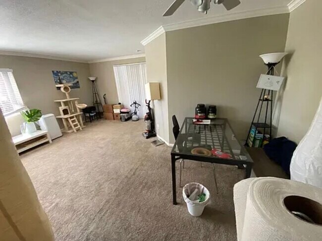 Photo - 7515 Charmant Dr Unit 1411