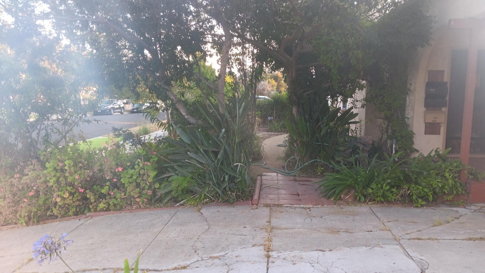 Front yard - 10525 Clarkson Rd Unit 10525 ADU 10527