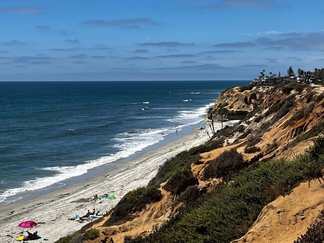 Photo - Vineyards at Paseo Del Sol