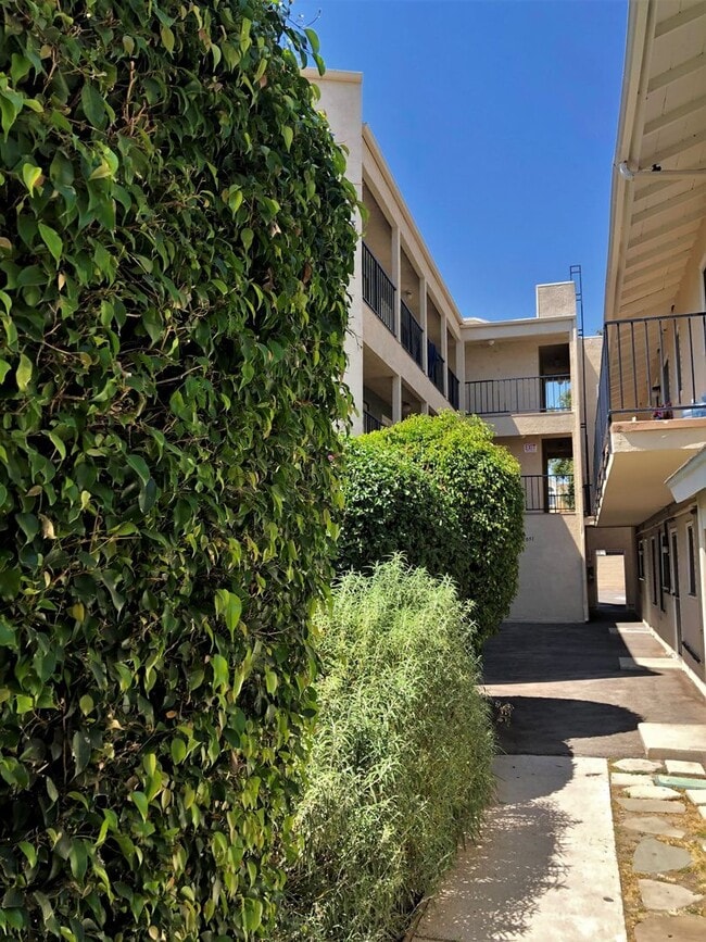 Photo - Spacious, bright and HUGE 2bd/1ba + 2 park... Unit 11051 #11