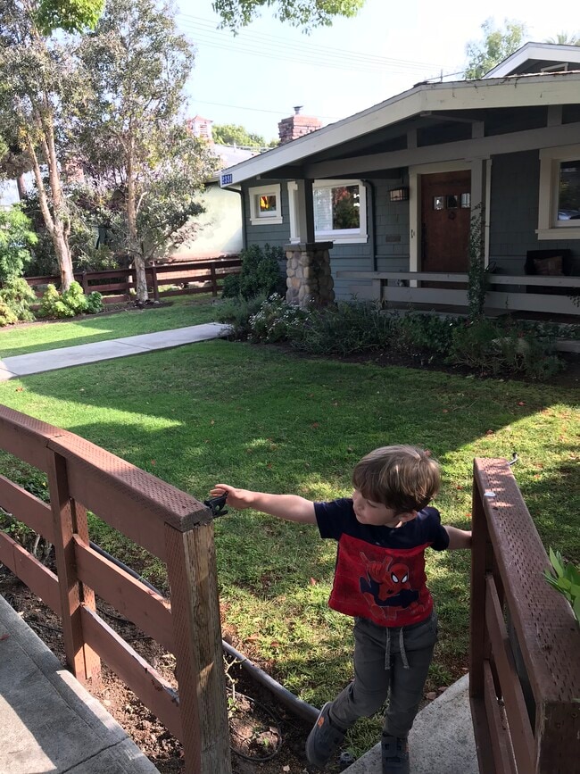 Front Yard - 2331 Glyndon Ave