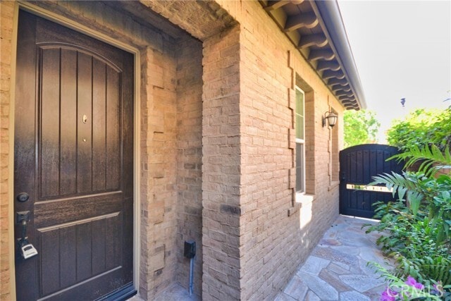 Photo - 30 Paperbark