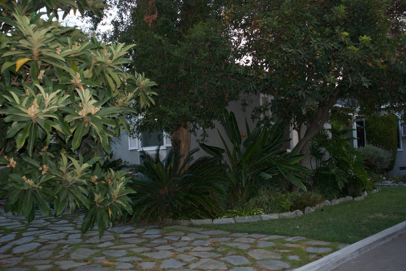 Photo - 4466 Tujunga Ave