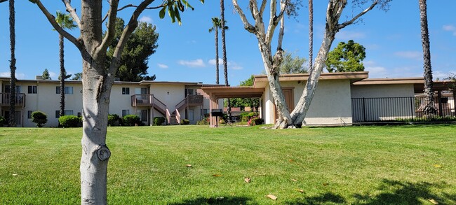 Nice grassy lawn area with pergola padio picnic area outside recreation center and swimming pool at Plaza Verde Apartments in Escondido, California. - Plaza Verde