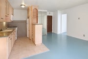 Kitchen looking into part of the living room. - 250 Linden Ave Condo Unit 208