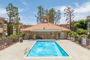 Pool - Casa Del Sol Apartment Homes