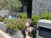 Photo - Live in the 90210! Stunning Modern Newly Renovated 2 Bedroom plus bonus room home in Beverly Hills!