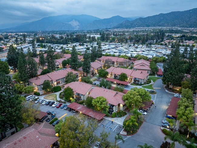 Citrus Place - Citrus Place Apartments